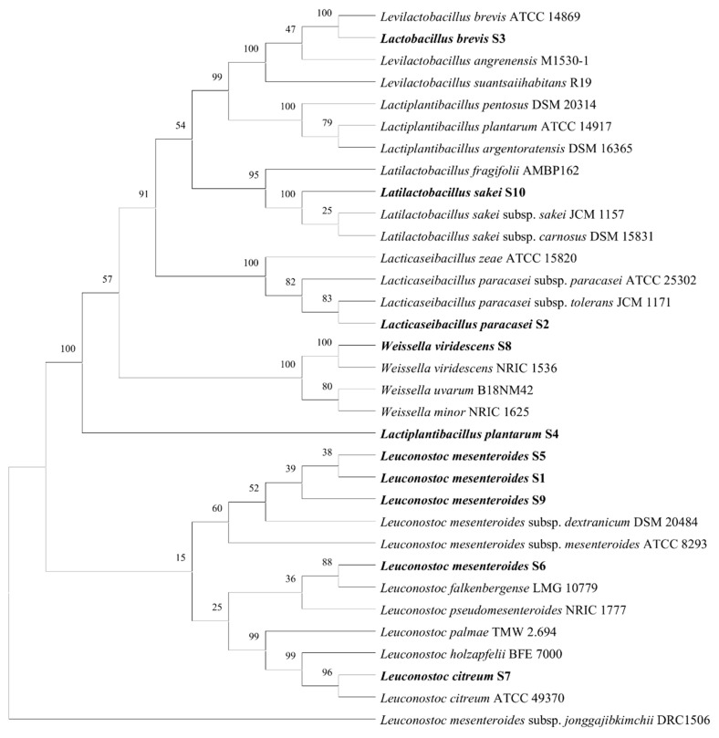 Figure 1