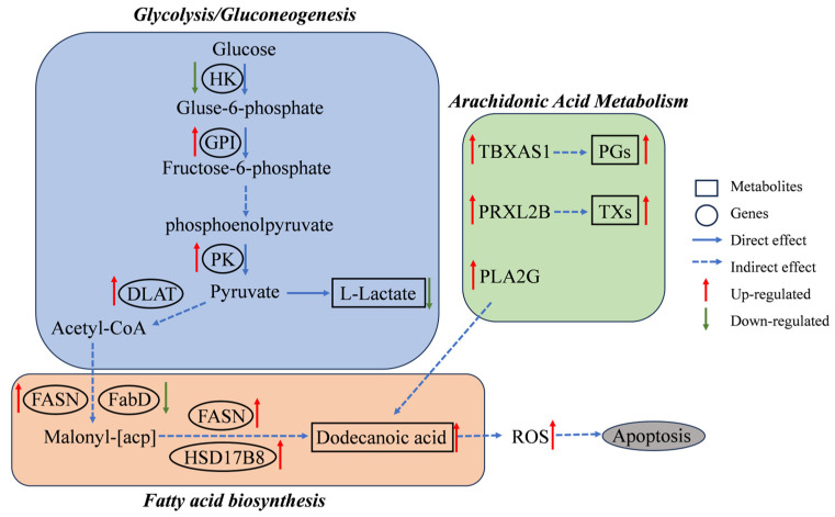 Figure 10