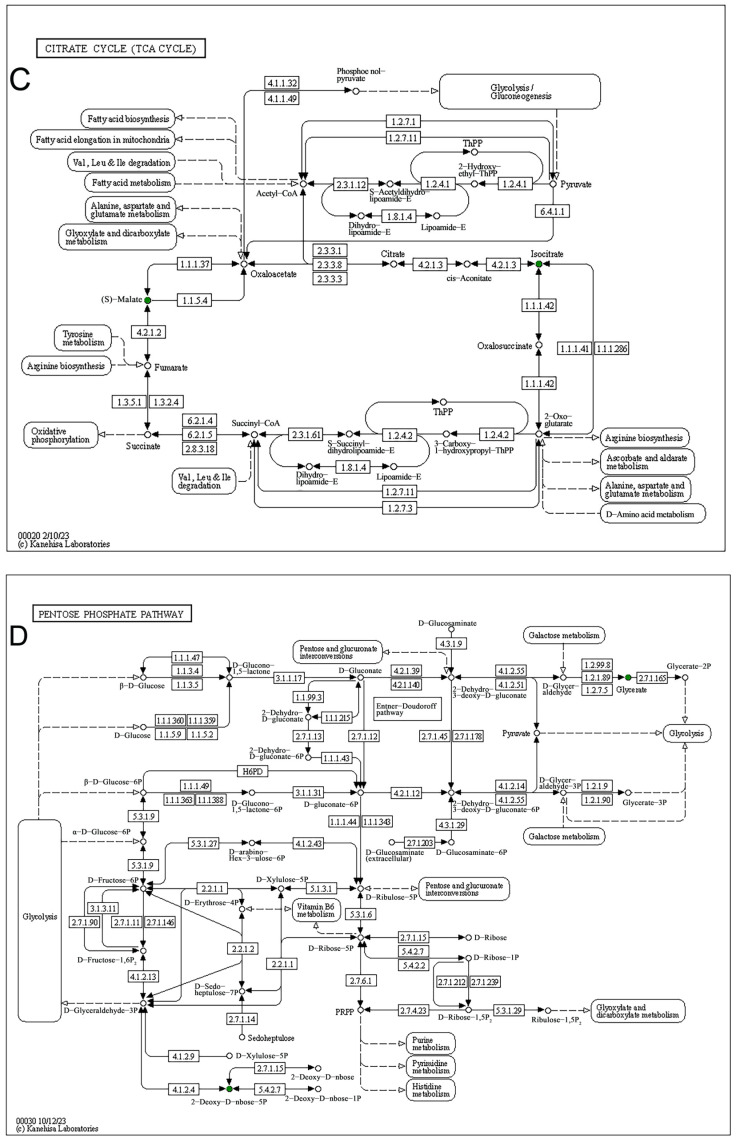 Figure 12