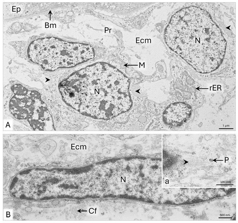 Figure 9