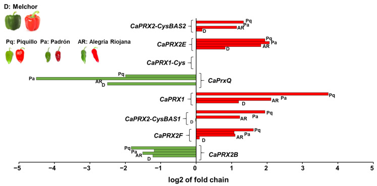 Figure 7