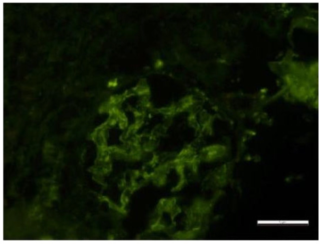 Figure 16