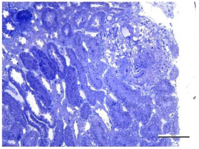 Figure 17