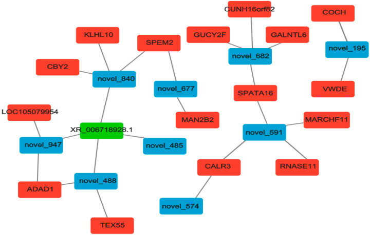 Figure 7