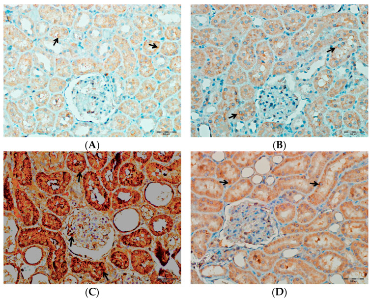 Figure 17