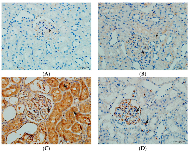 Figure 18