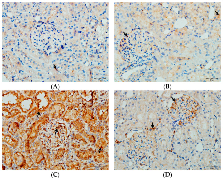 Figure 19