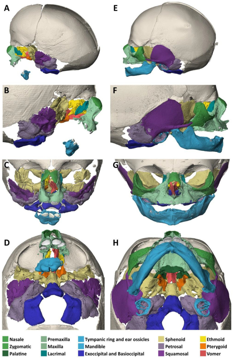 Figure 6