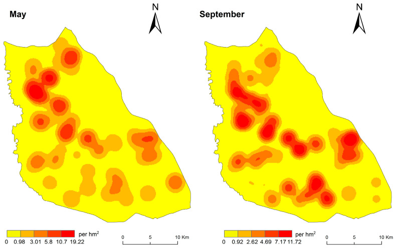 Figure 5