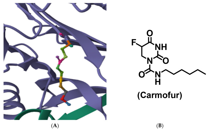 Figure 21