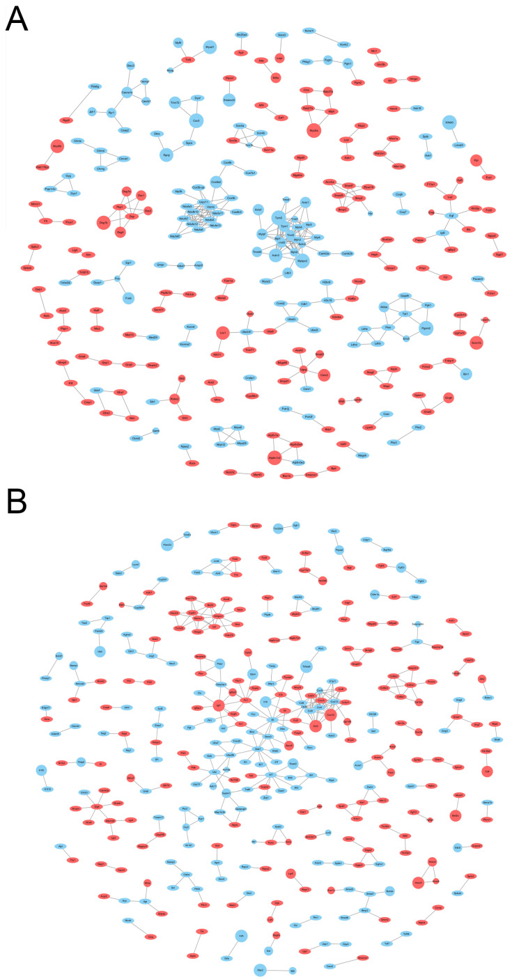 Figure 11