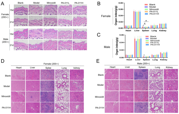Figure 23