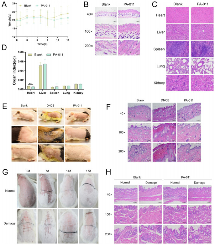 Figure 24