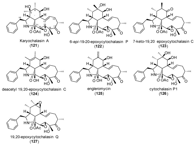 Figure 12