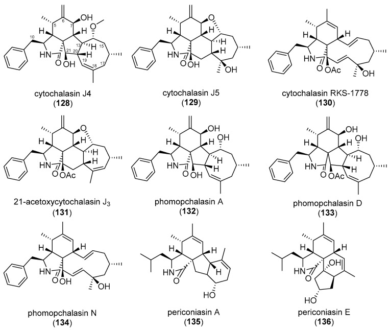 Figure 13