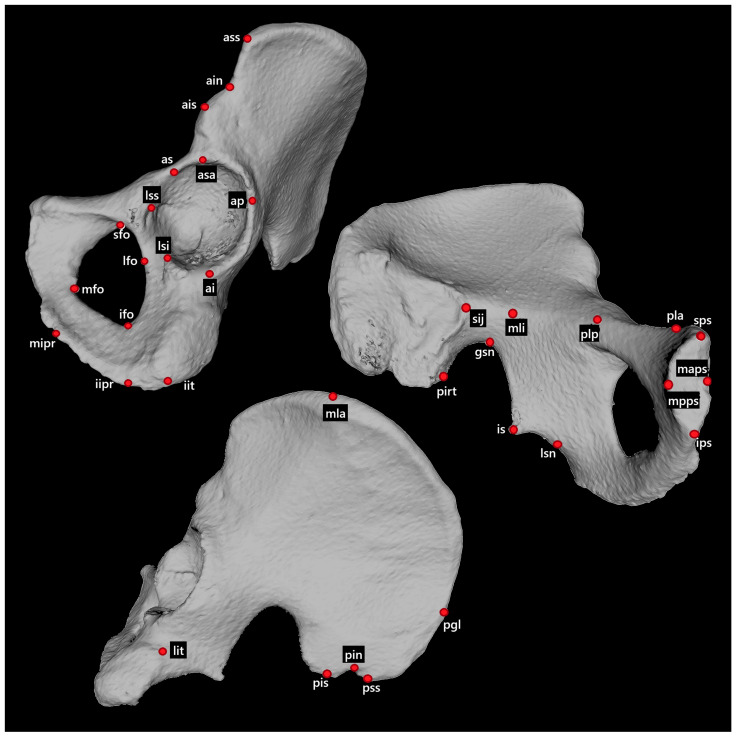 Figure 1