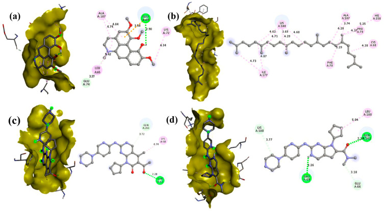 Figure 10