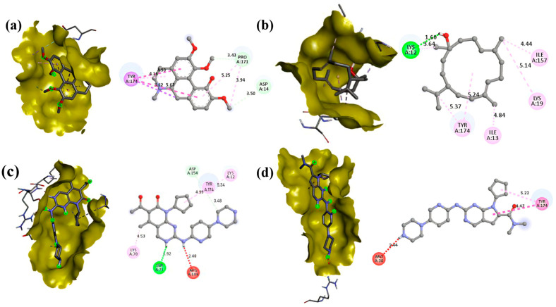 Figure 11
