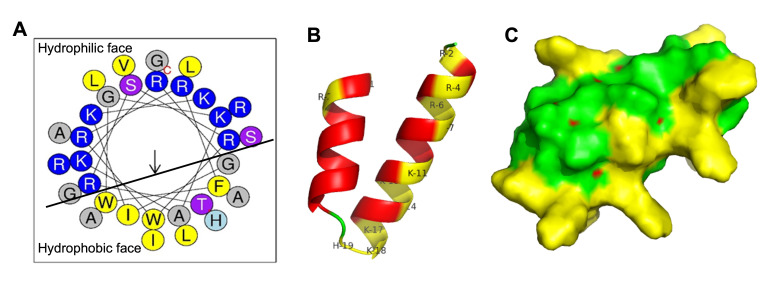 Figure 7