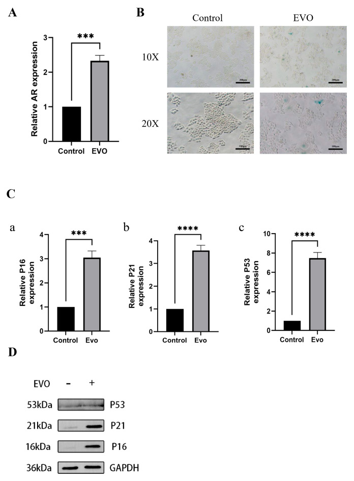 Figure 13