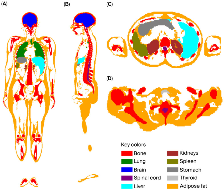 Figure 2