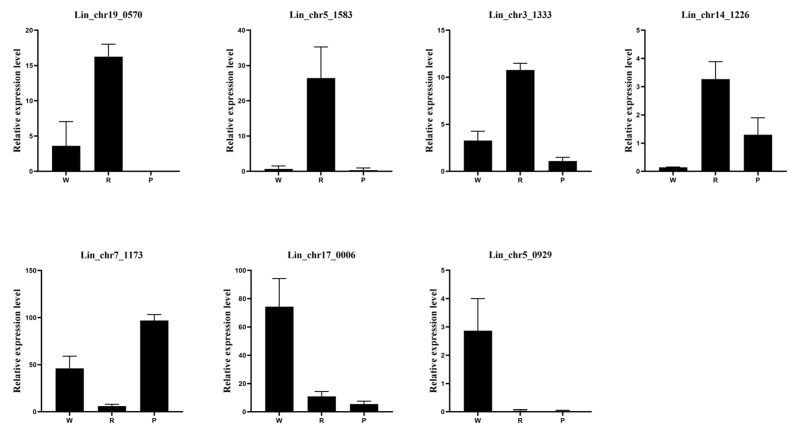 Figure 12