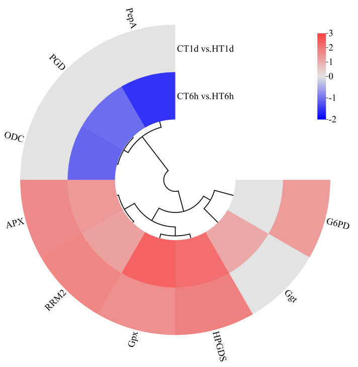 Figure 9