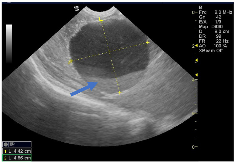 Figure 7