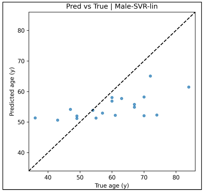 Figure 21