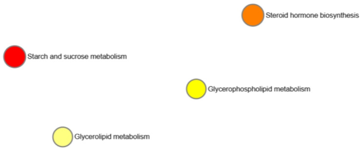 Figure 13