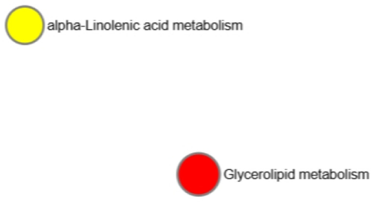 Figure 17