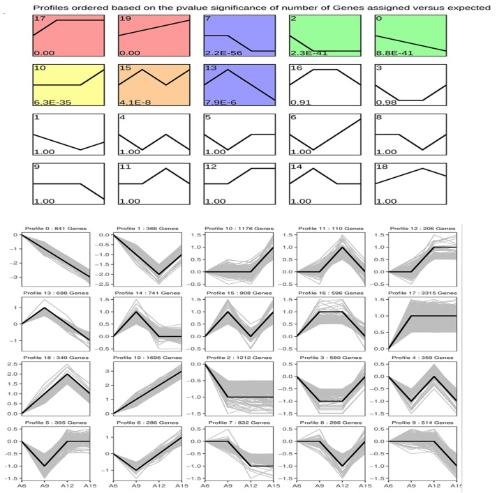 Figure 6