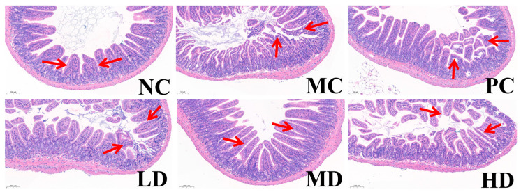Figure 7