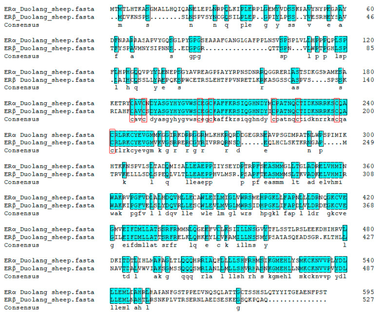 Figure 12