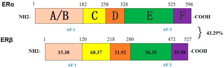 Figure 13