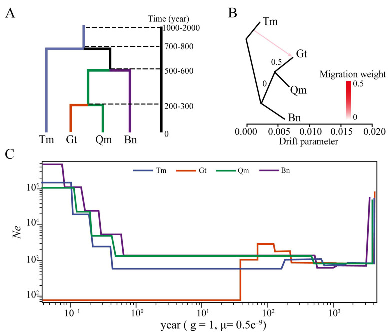 Figure 6