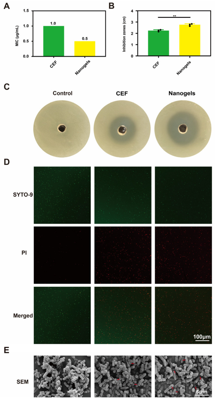 Figure 6