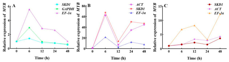 Figure 11