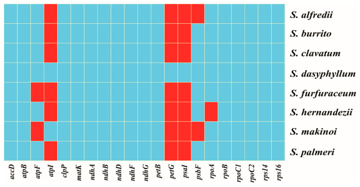Figure 5