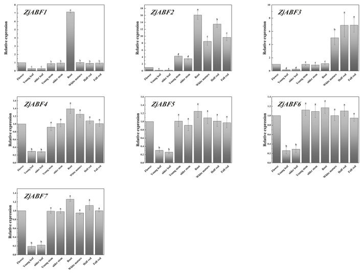 Figure 11