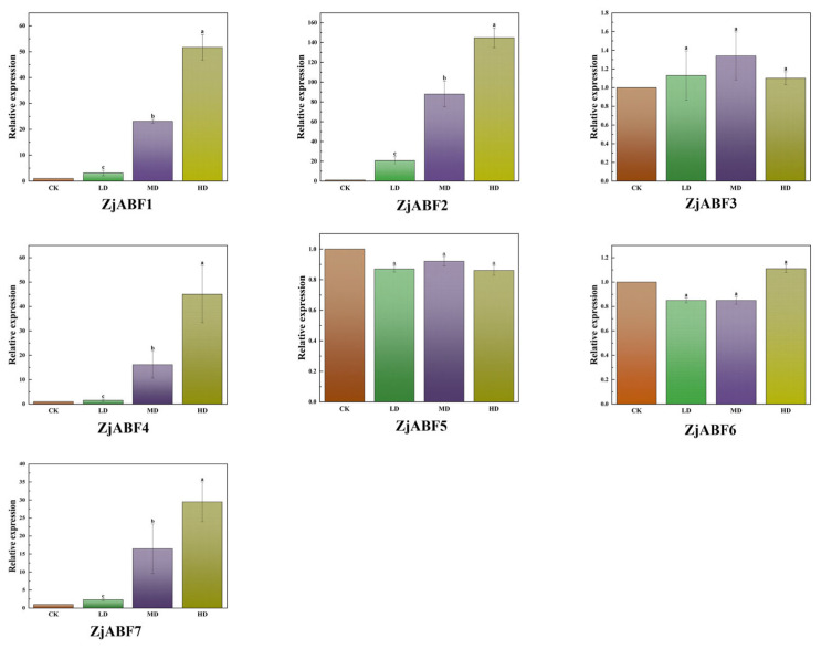 Figure 12