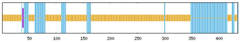 Figure 13
