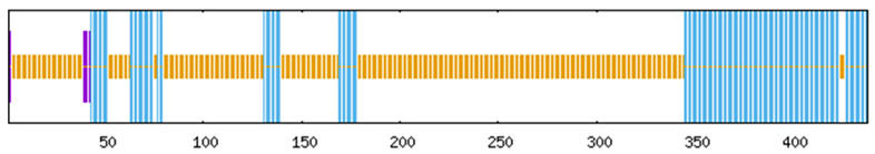 Figure 17