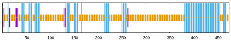 Figure 19