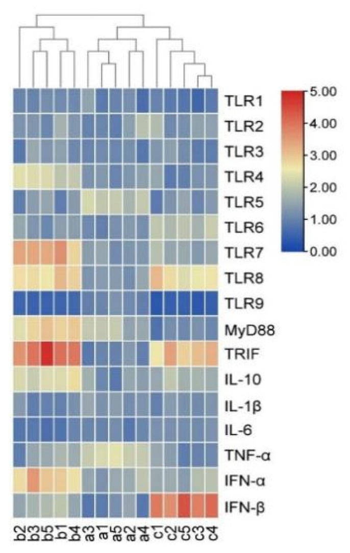 Figure 5