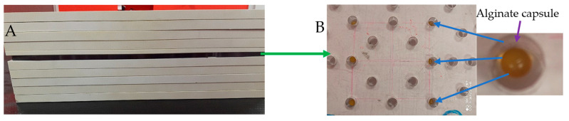 Figure 16