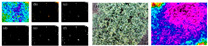 Figure 24