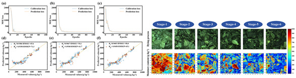Figure 28
