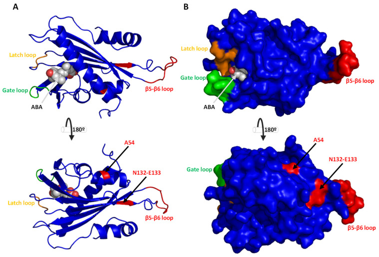 Figure 6