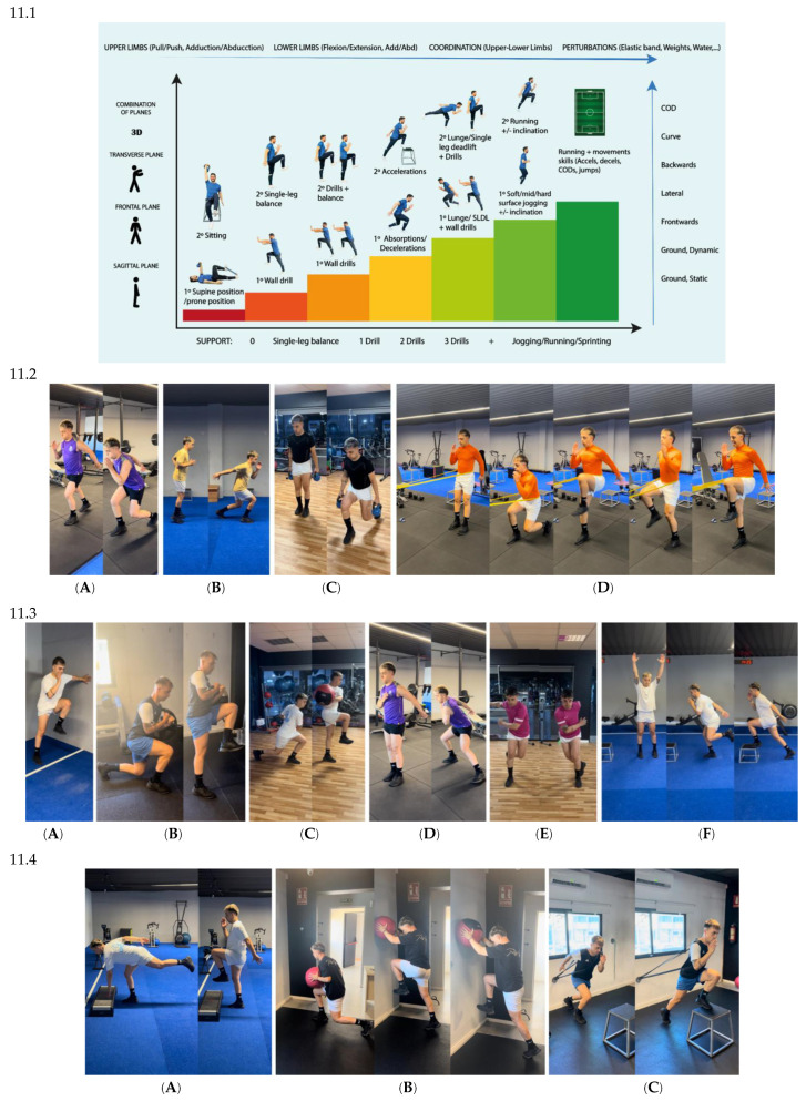 Figure 12